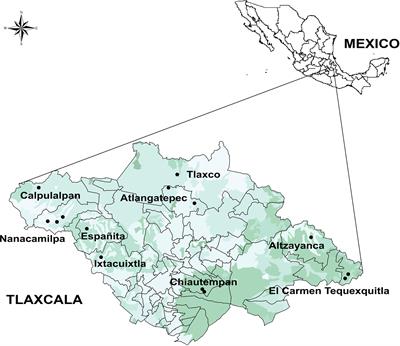 Morphological Diversity and Genetic Relationships in Pulque Production <mark class="highlighted">Agave</mark>s in Tlaxcala, Mexico, by Means of Unsupervised Learning and Gene Sequencing Analysis